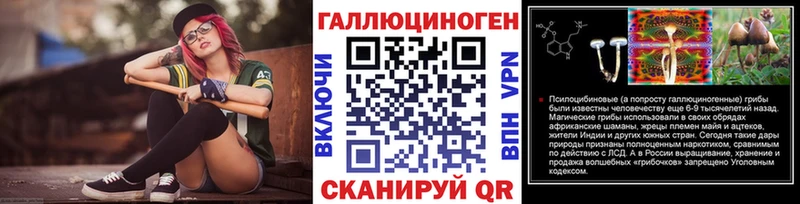 закладка Кондопога Галлюциногенные грибы Cubensis