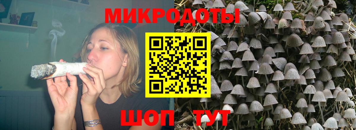 Галлюциногенные грибы MAGIC MUSHROOMS Кондопога