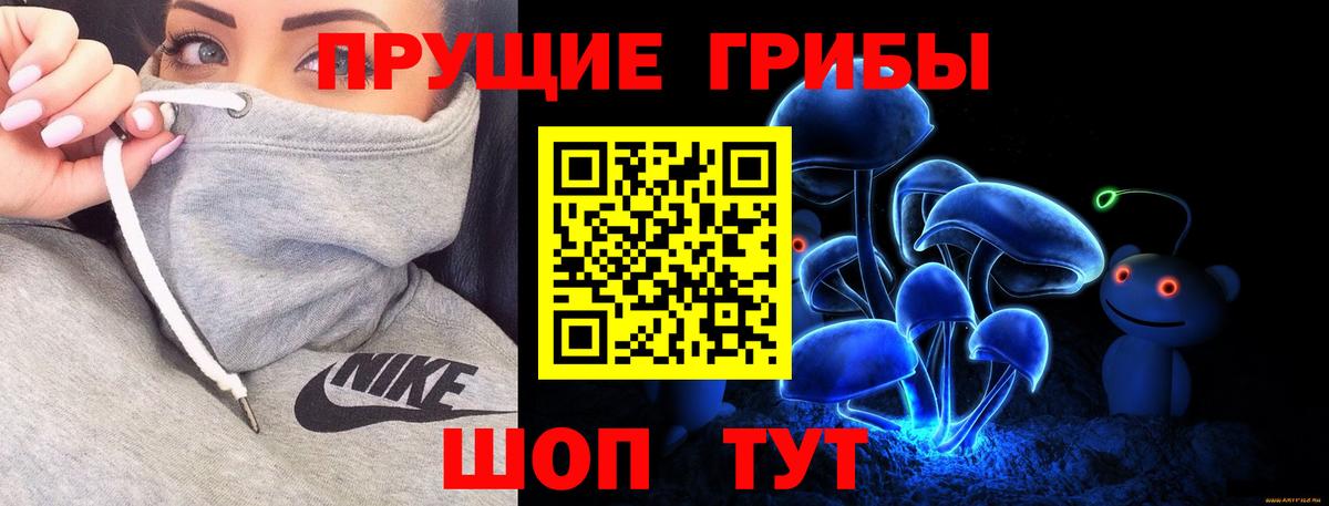 Кондопога  Псилоцибиновые грибы MAGIC MUSHROOMS  Вход с VPN 