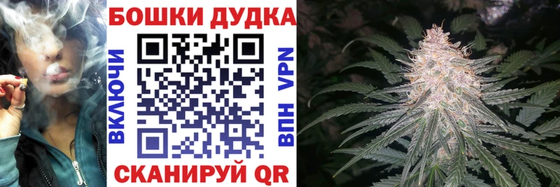 где найти наркотики  Кондопога  ссылка на мегу рабочий сайт  Бошки Шишки THC 21% 